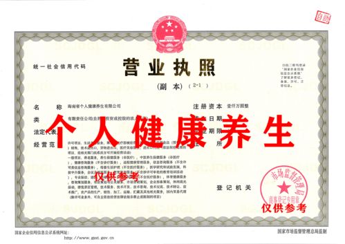 出讓海南省個(gè)人健康養(yǎng)生有限公司咨詢策劃服務(wù)