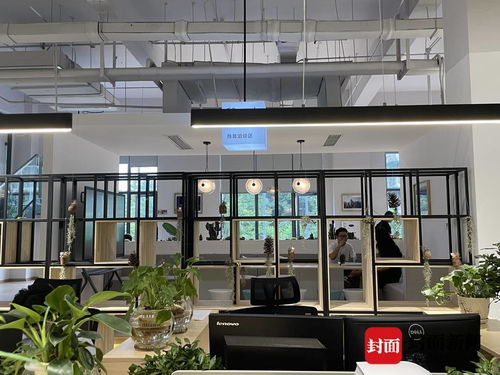 探訪成都金牛“雙中心” 這個(gè)極具設(shè)計(jì)感的服務(wù)空間，如何重塑咨詢與策劃體驗(yàn)？